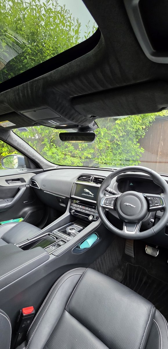 Jaguar cabin cleaned and dressed