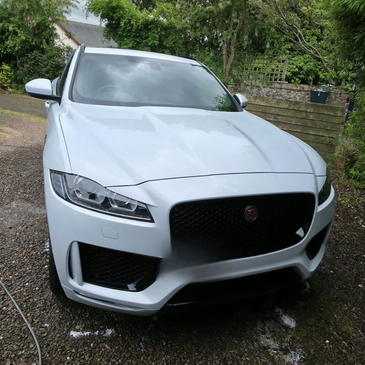 White Jaguar F-Pace freshly detailed